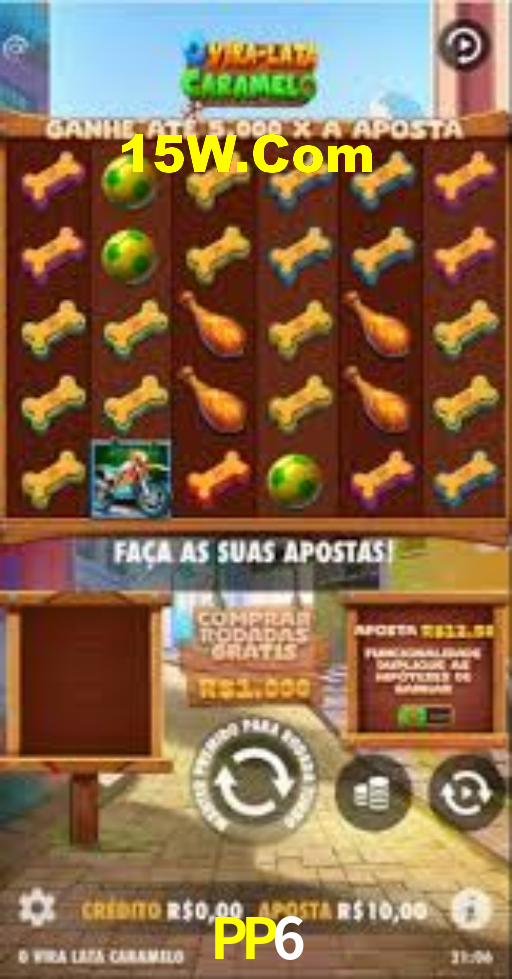 PP6 Vip